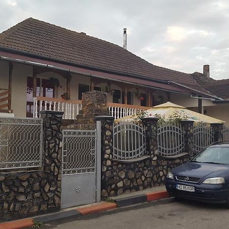 Casa Leo Apartment Hateg Bagian luar foto