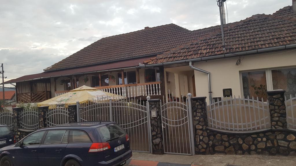 Casa Leo Apartment Hateg Bagian luar foto