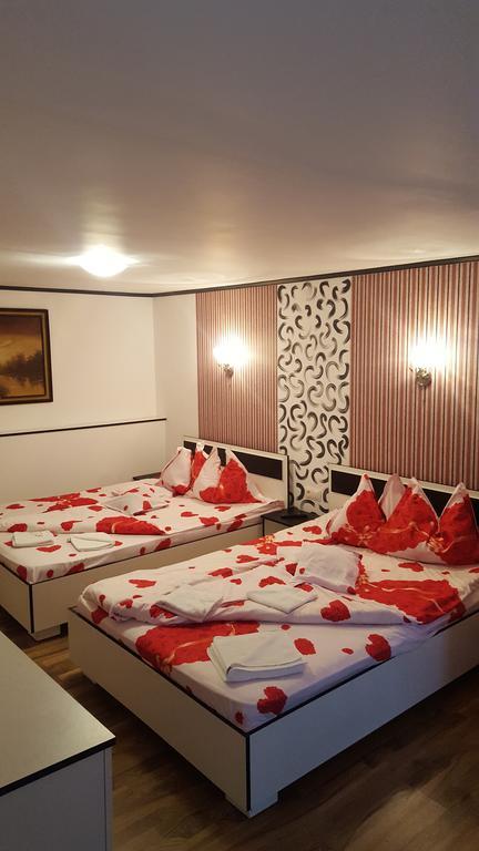 Casa Leo Apartment Hateg Bagian luar foto
