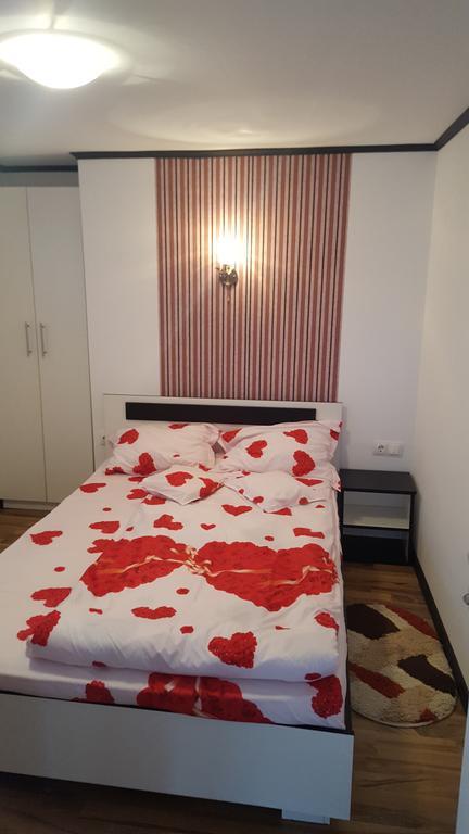 Casa Leo Apartment Hateg Bagian luar foto