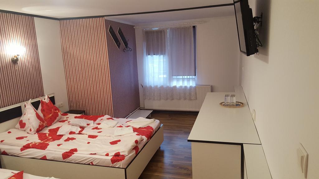 Casa Leo Apartment Hateg Bagian luar foto