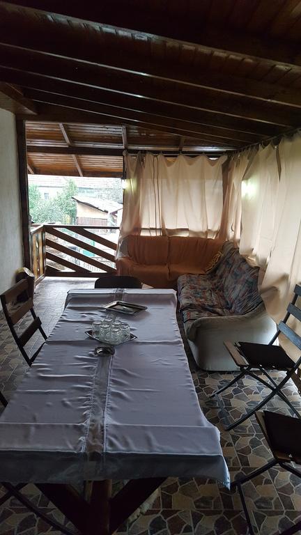 Casa Leo Apartment Hateg Bagian luar foto