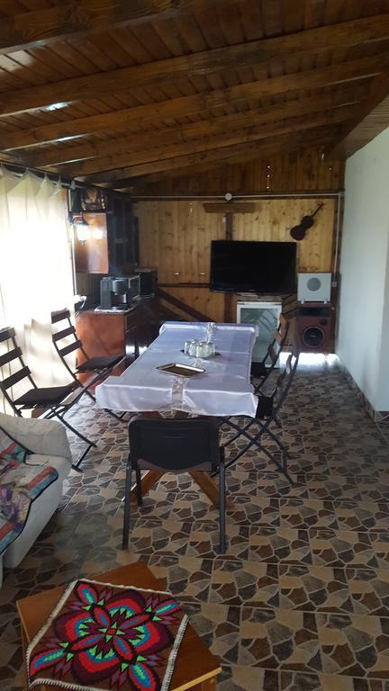 Casa Leo Apartment Hateg Bagian luar foto