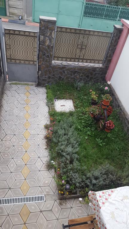 Casa Leo Apartment Hateg Bagian luar foto