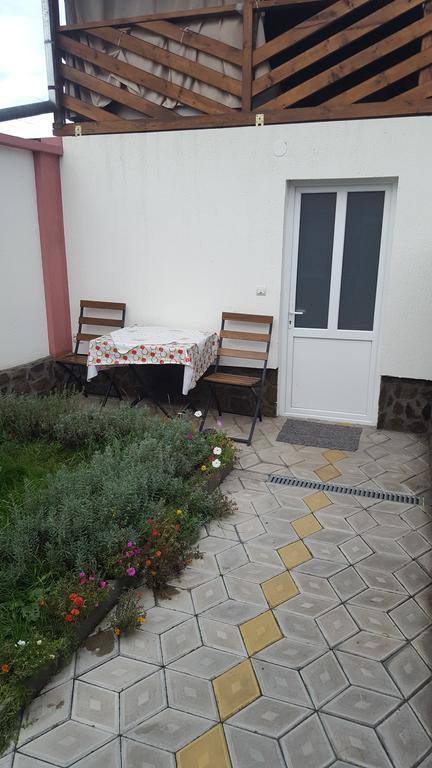 Casa Leo Apartment Hateg Bagian luar foto